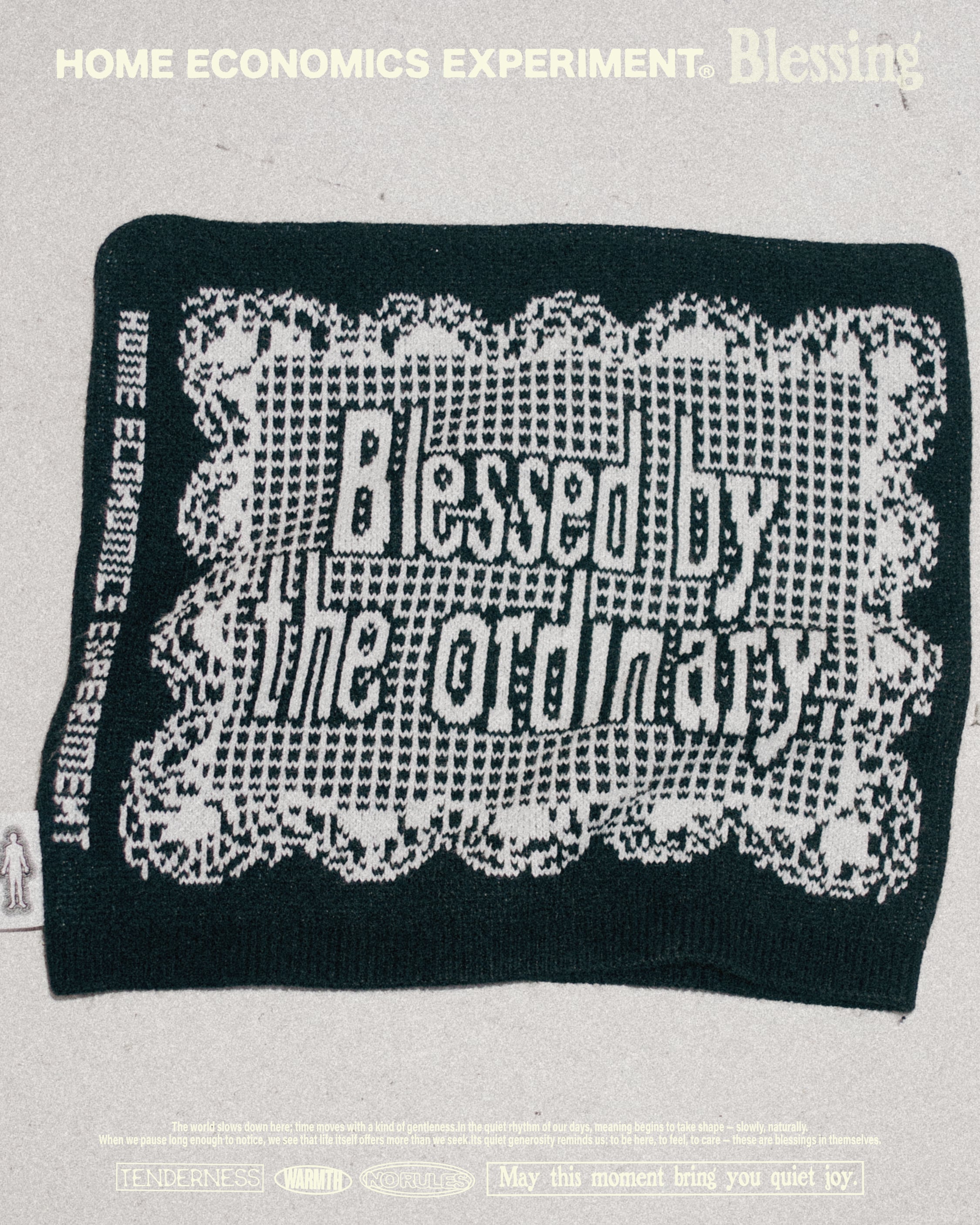 Blessing マフラー  ECONOMICS EXPERIMENT beanie
