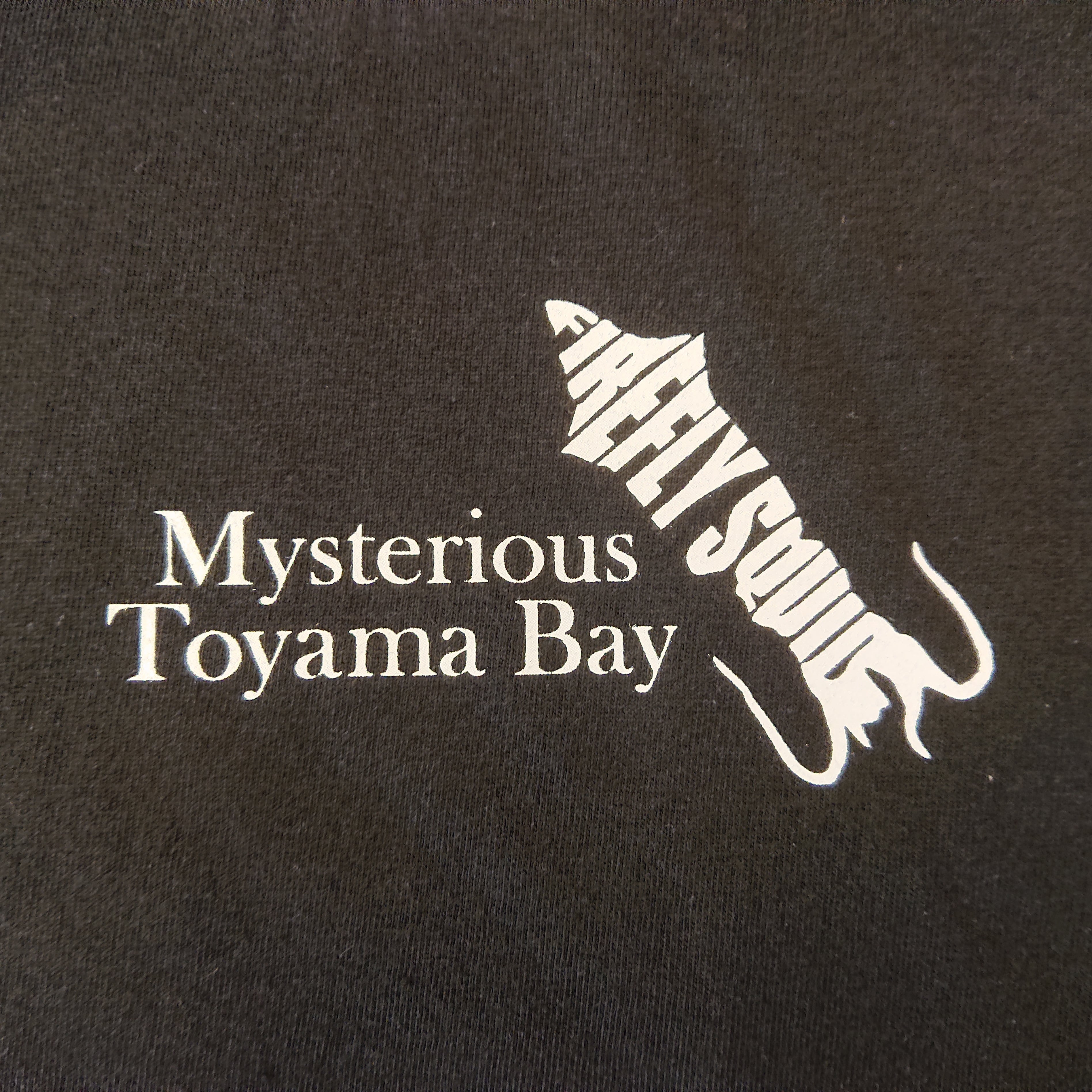 【Mysterious Toyama Bay】ホタルイカ Tシャツ