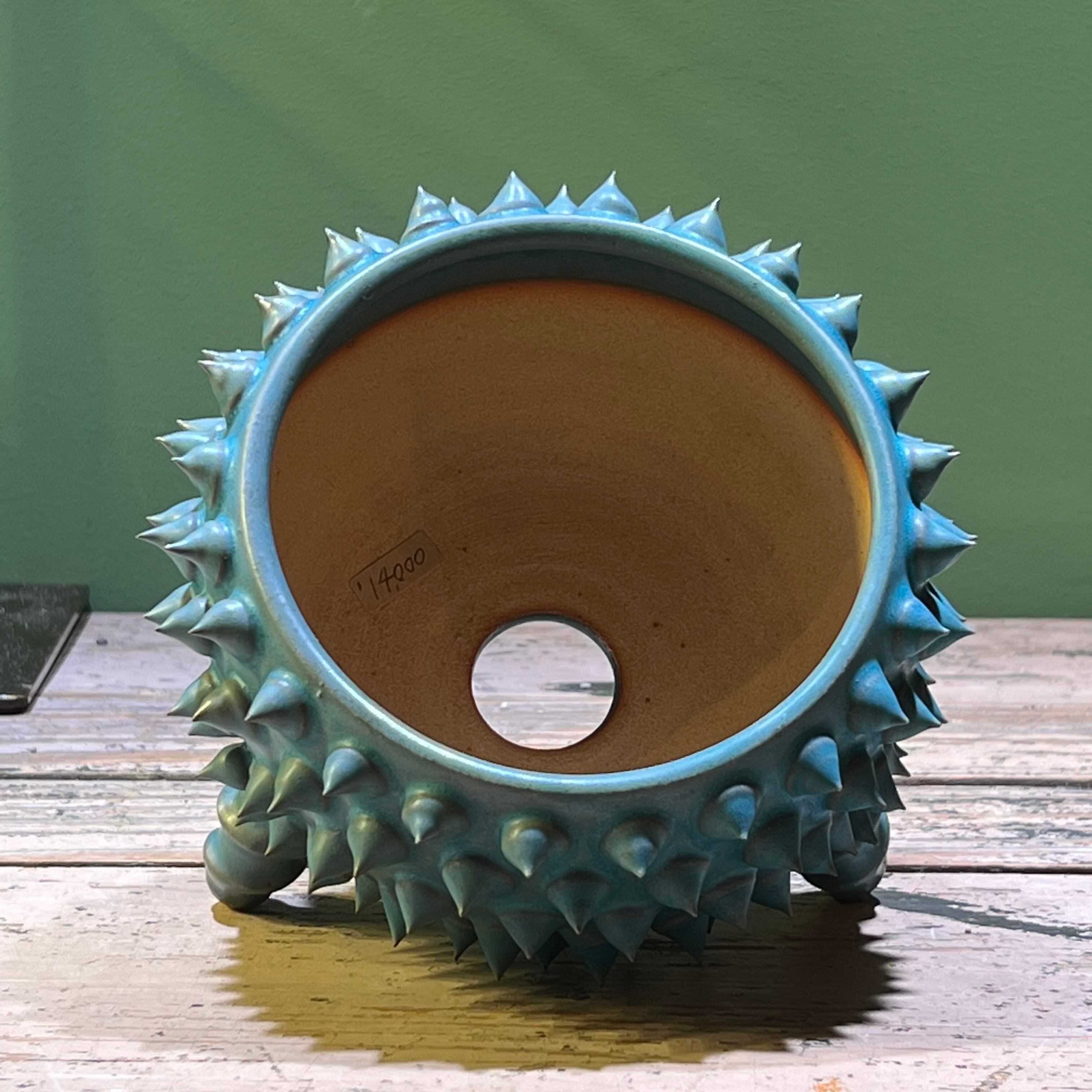 1. 未来薩摩 圭介窯 トゲモノ 植木鉢 | KOBE AGAVE SHOP