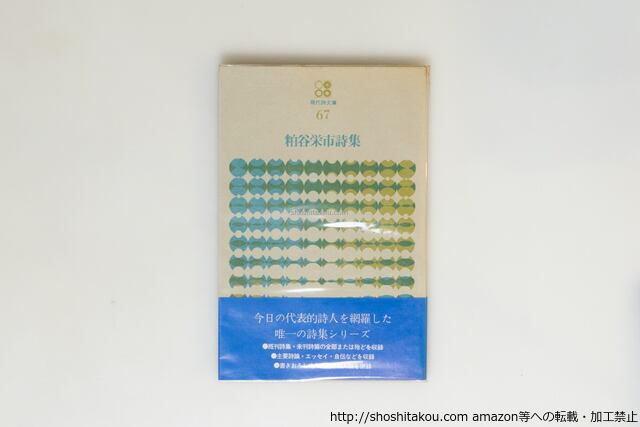 詩の媒体としての漢字考 アーネスト・フェノロサ=エズラ・パウンド芸術