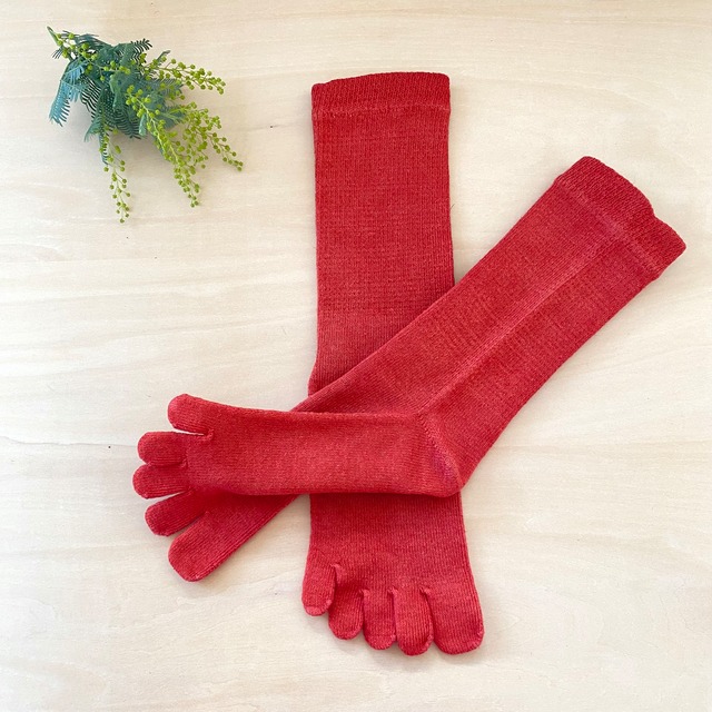 ヘンプコットンの5本指靴下(レギュラー)