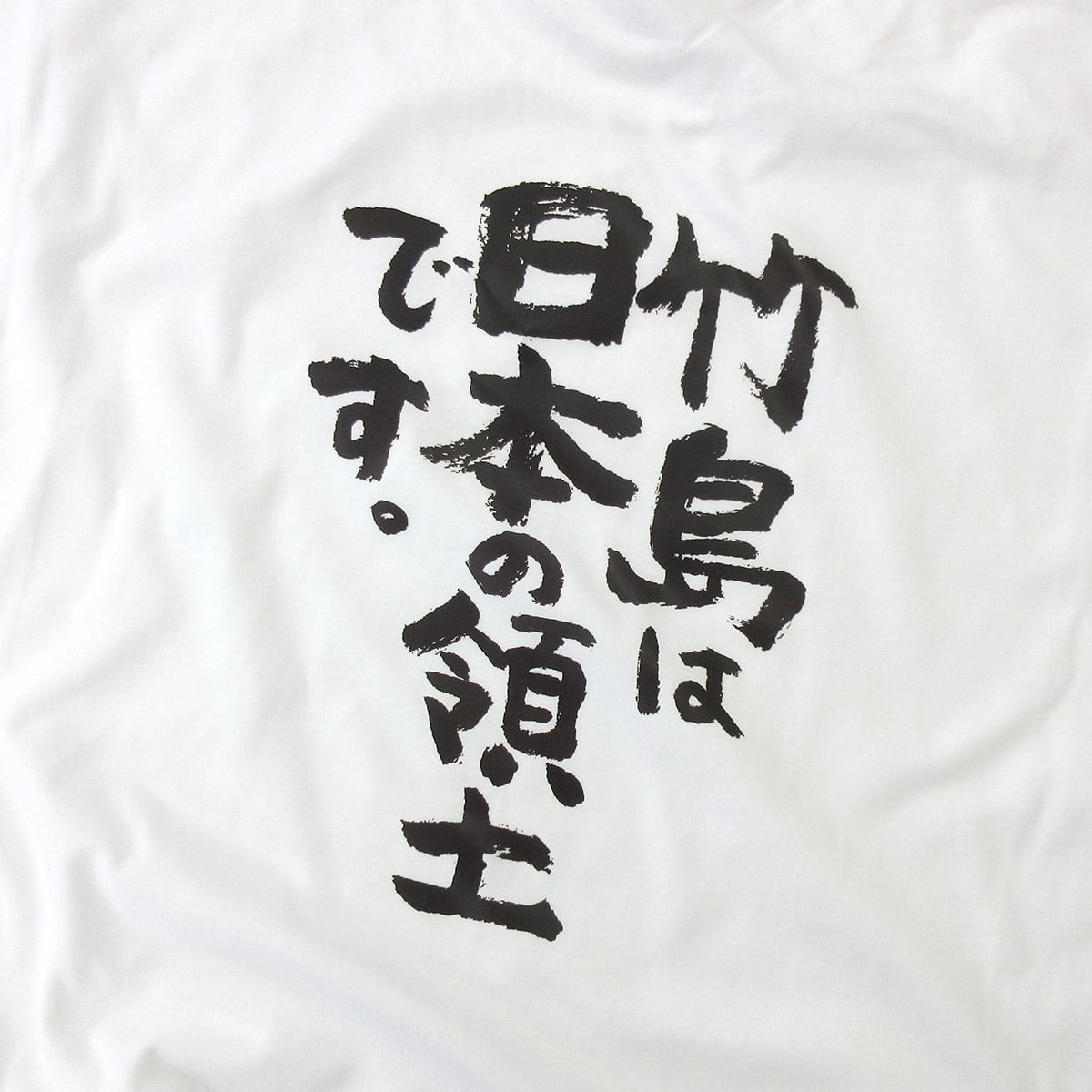 竹島は日本の領土です。 Tシャツ ka400-62 漢字Tシャツ 日本愛 日本の主張 地理 地名
