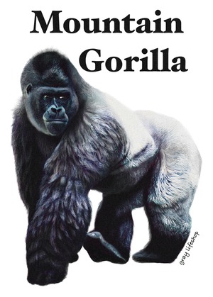 gray original Dog face &breed printed S/S TEE［Mountain gorilla］