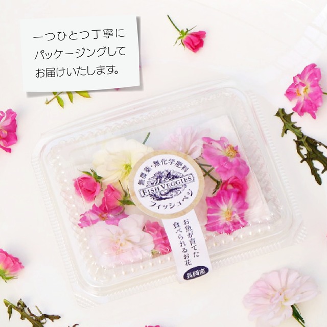 【FISH VEGGIES】エディブルローズ【小輪】10輪　化学肥料/化学農薬不使用だから安心して食べられる