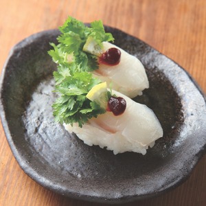 北海道産 サメカレイフィーレ ２Kg