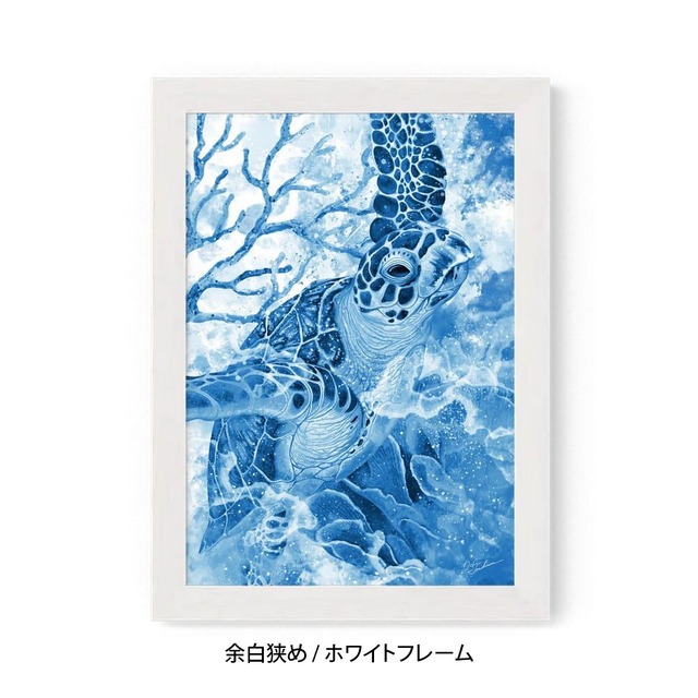 A5｜蒼海の海亀（フレームあり）