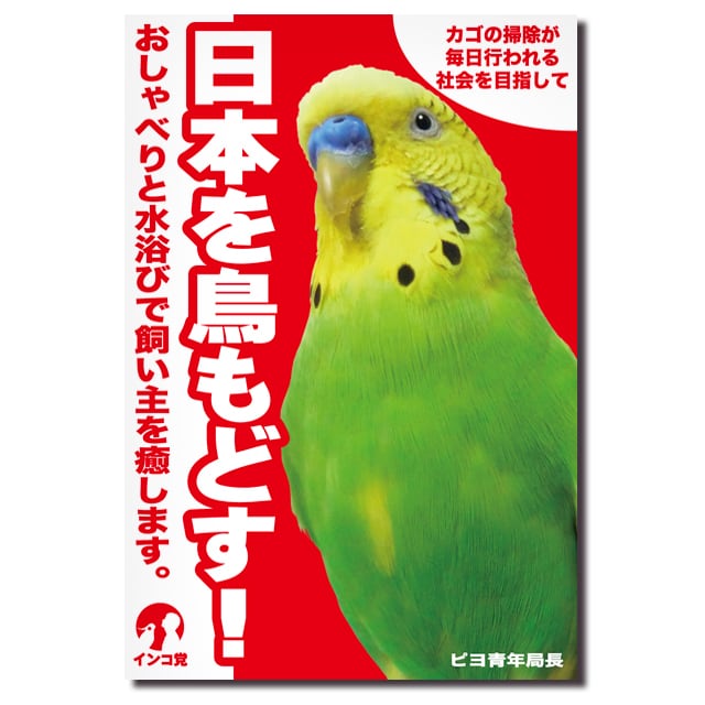 インコ党第二弾 ポストカード4枚セット | TOMOYAMASHITA DESIGN