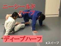 テクニック動画] ニーシールドハーフガード、ディープハーフガード