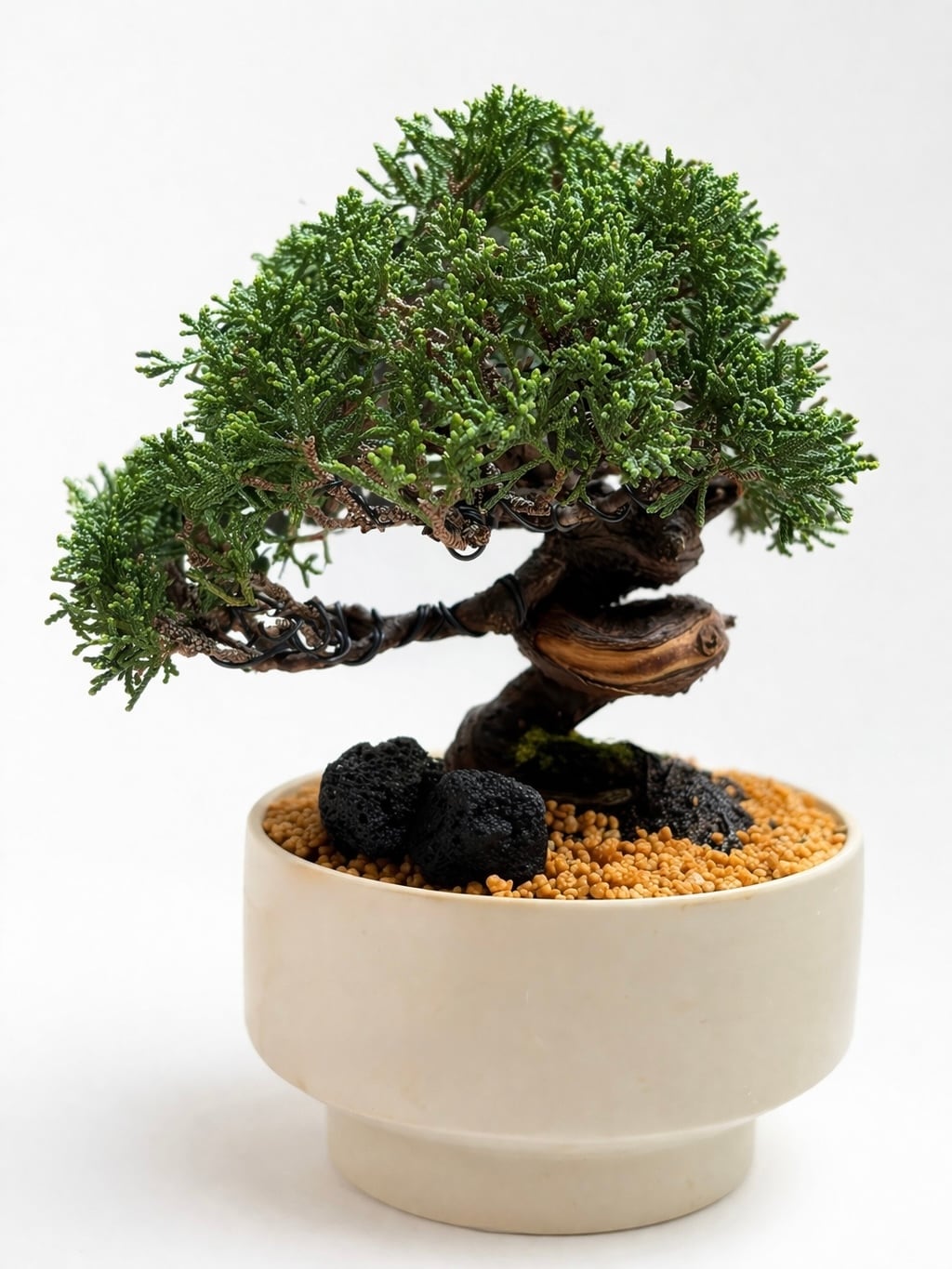 369 BONSAI™︎