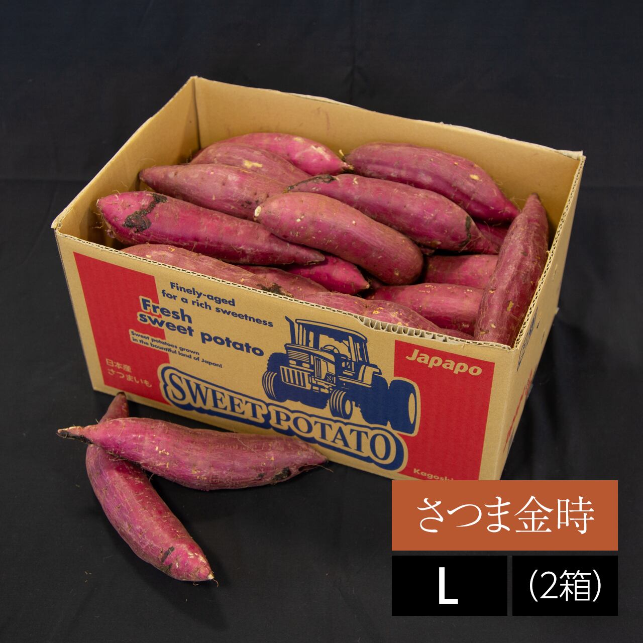 さつまいも 紅霧島（紅はるか）【L】36本（1箱） | Japapo official