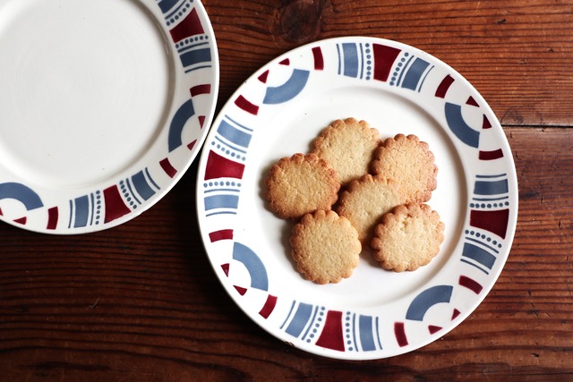 France Badonviller  Le modèle “JAVA”