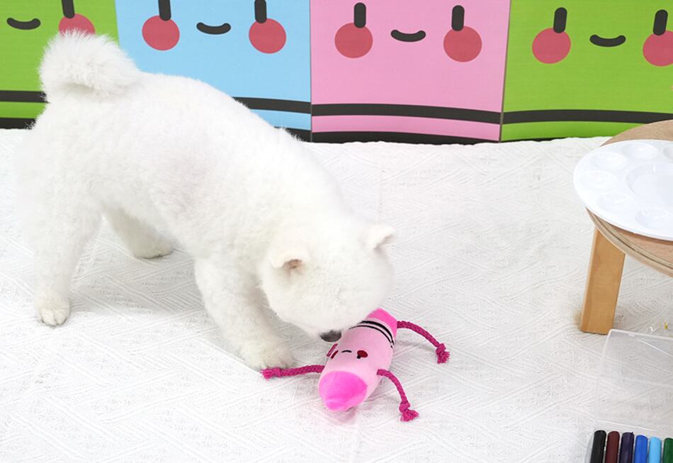 crayon toy / ペット 犬 おもちゃ 噛む 音が鳴る ロープ 知育玩具 鳴き笛入り 可愛い わんちゃん おもちゃ ストレス解消 韓国 ペット用品 toy18