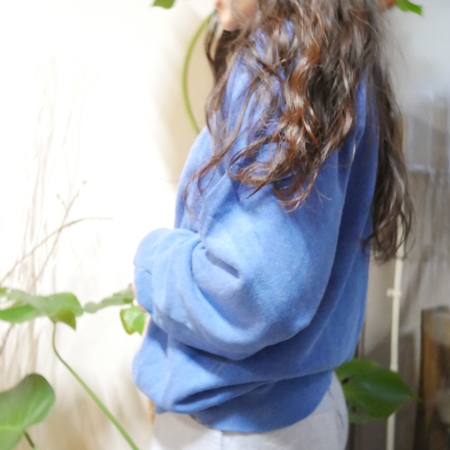 80s- US  Steinwurtzel blue sweat