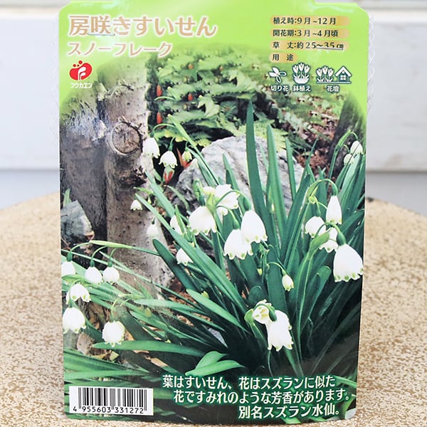 スズラン 球根 白と紫の花 球根 スノーフレーク 房咲 すずらん スイセン 2球入り 宿根草 ホワイト