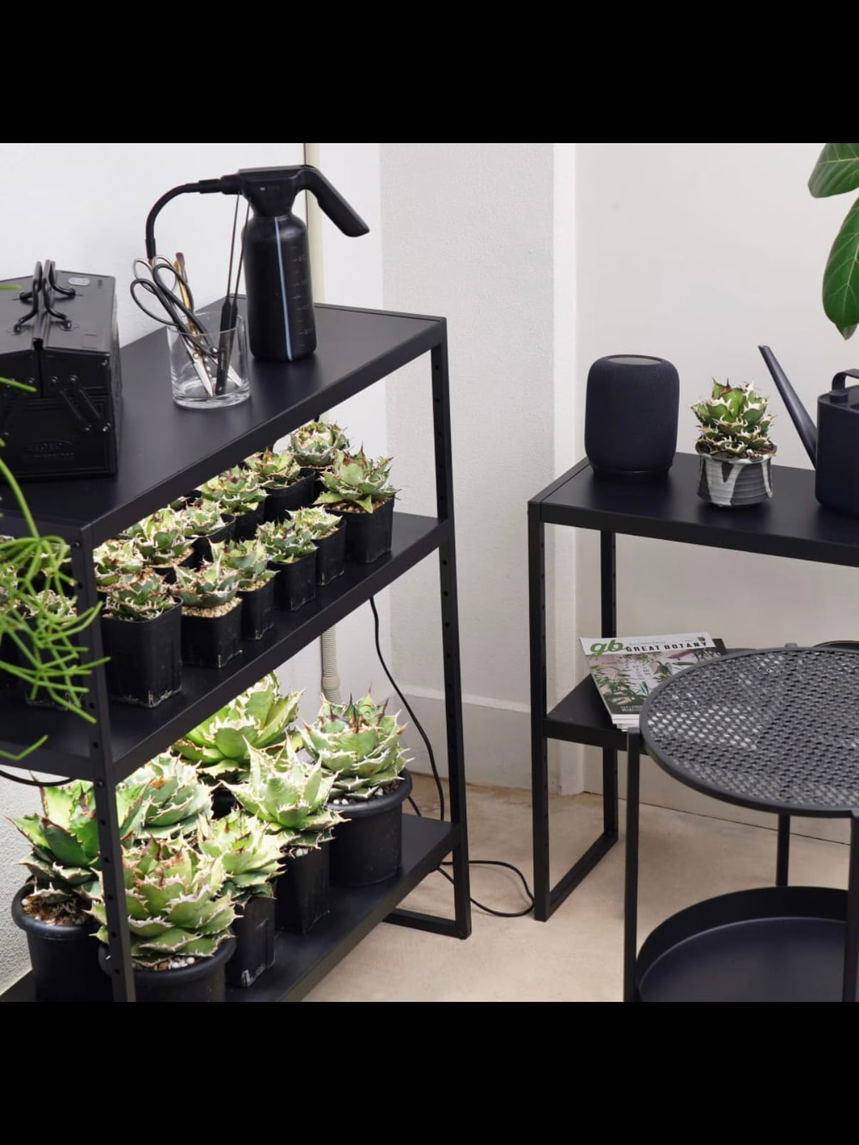 植物育成LED・園芸用品 | trigger