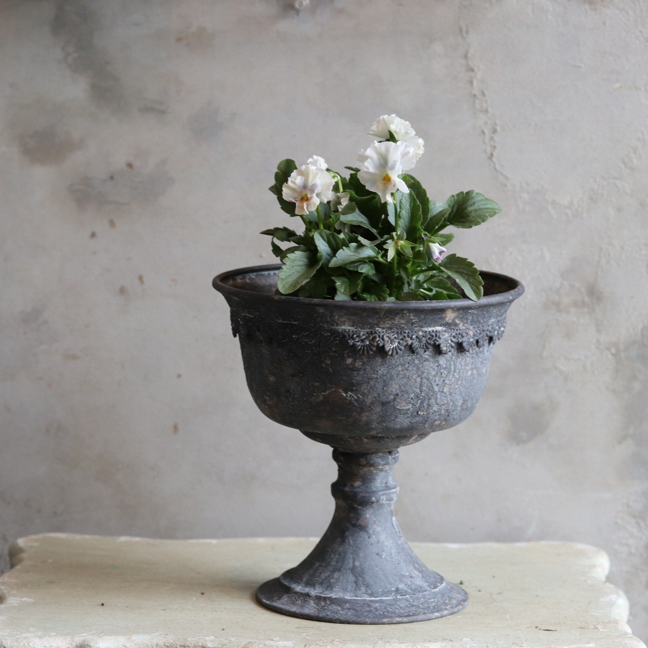 akさま専用ページ:ブリキ植木鉢　アンシャンカップDGY　アンティーク調　シャビーシック　オシャレ　UF564