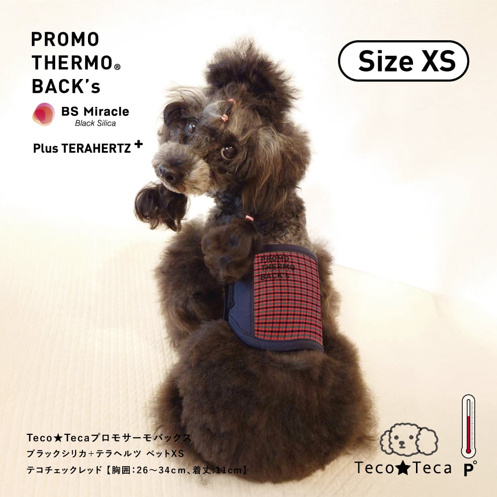 PROMO THERMO（プロモサーモ）