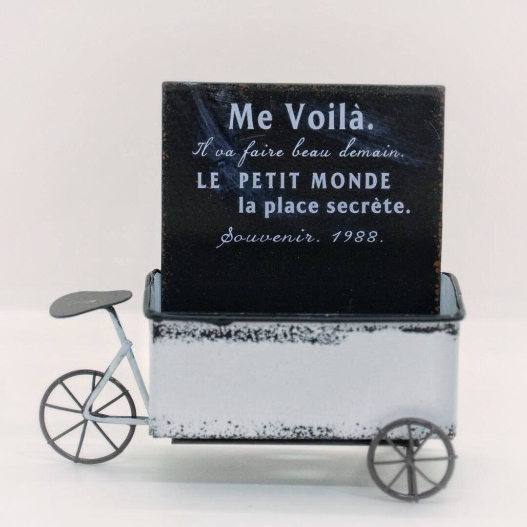 ヴェロワイドポットS