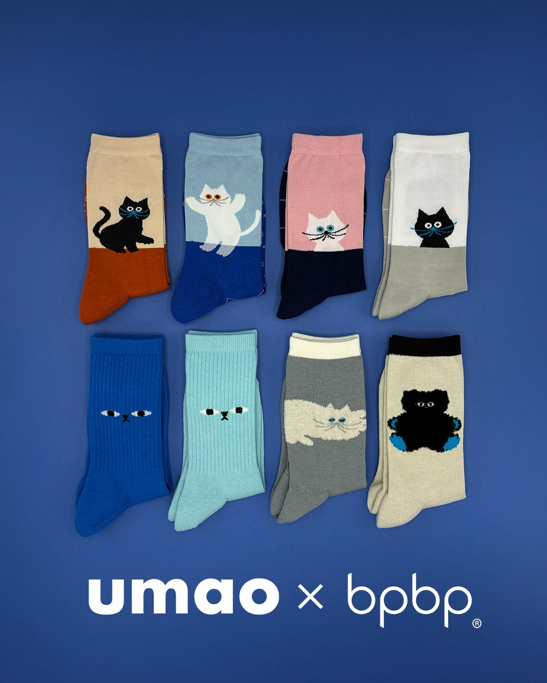 UMAO】SOCKS WHITE CAT BESIDE WINDOW 窓辺の白猫 ソックス | bpbp