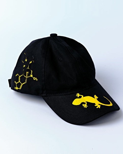 Gecko×LSD CAP（BLK）