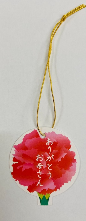 母の日限定ギフトマカロン10　＜お母さんありがとう タグ付き＞＜紙袋付き＞