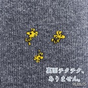 はるなつうすふわレッグウォーマー PEANUTS