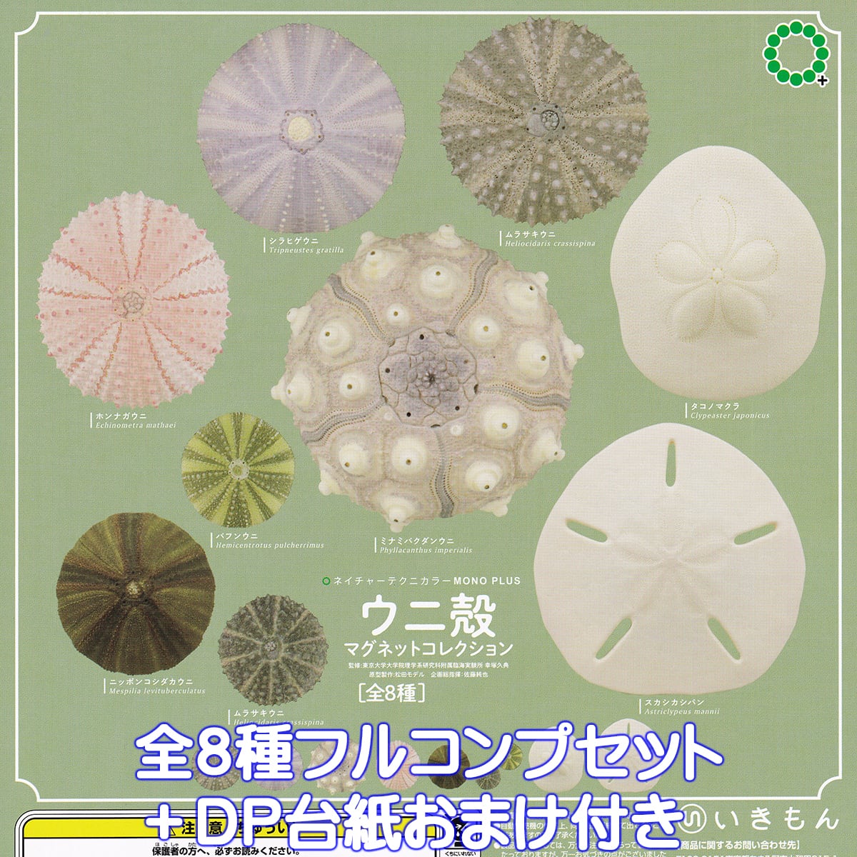 ネイチャーテクニカラー MONO PLUS ウニ殻マグネット