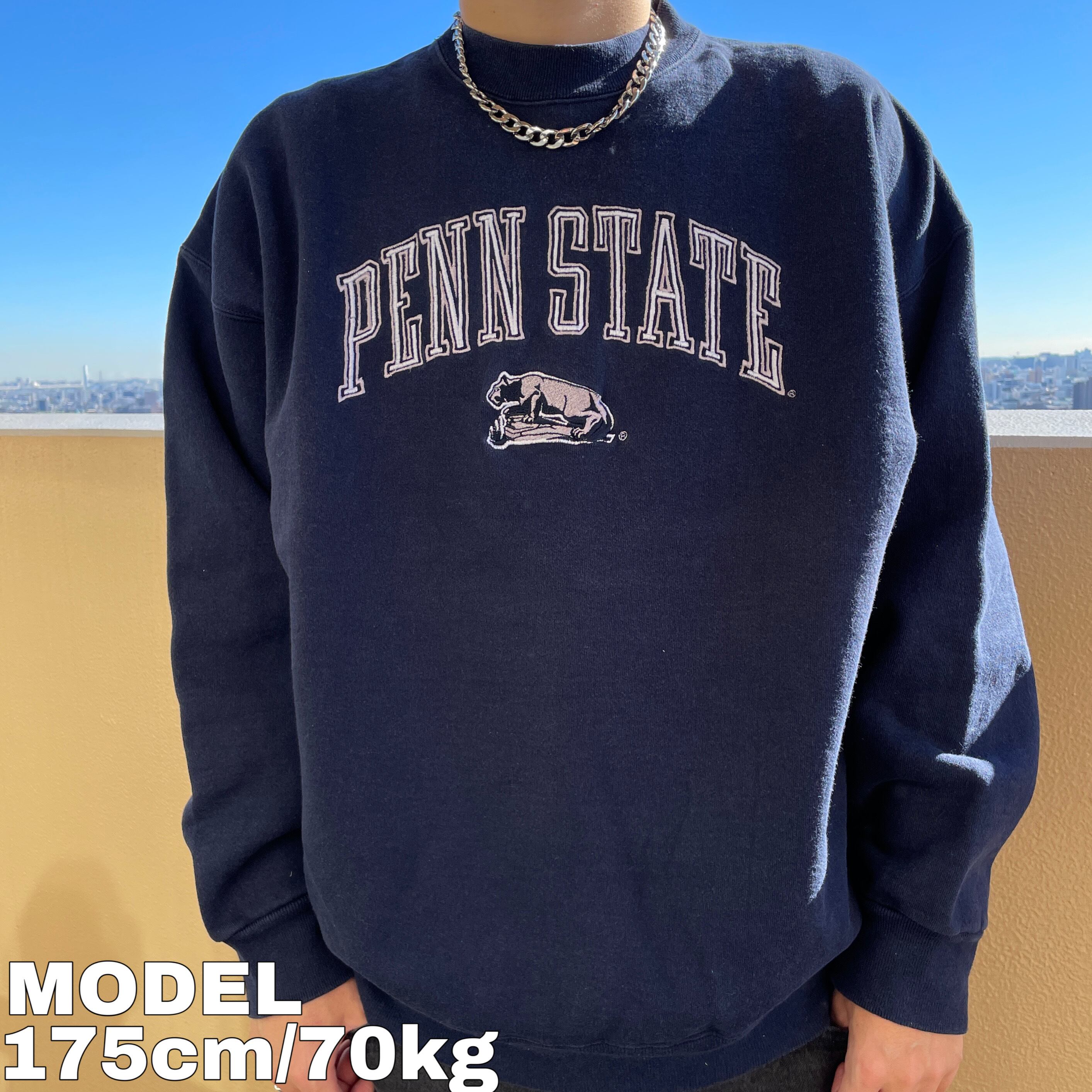 配送日指定可 90s USA製 RUSSELL PENNSTATE ペンシルベニア スウェット