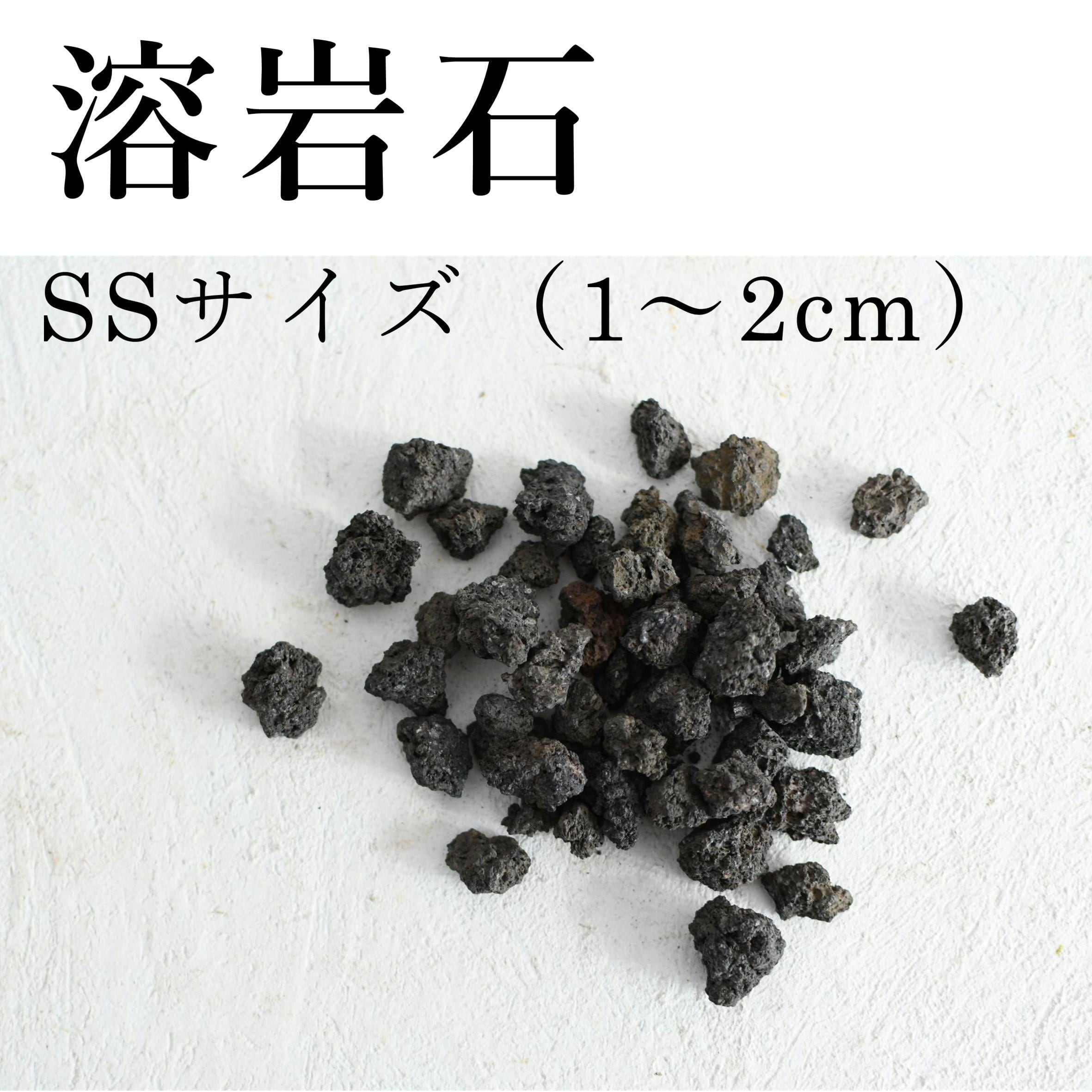 溶岩石 SSサイズ（1〜2㎝）100g【レイアウト用】 | 苔テラリウム専門