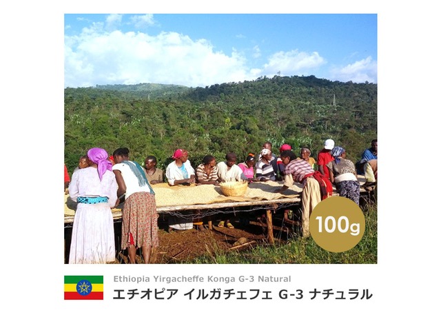 【100g】エチオピア イルガチェフェ G-3 ナチュラル