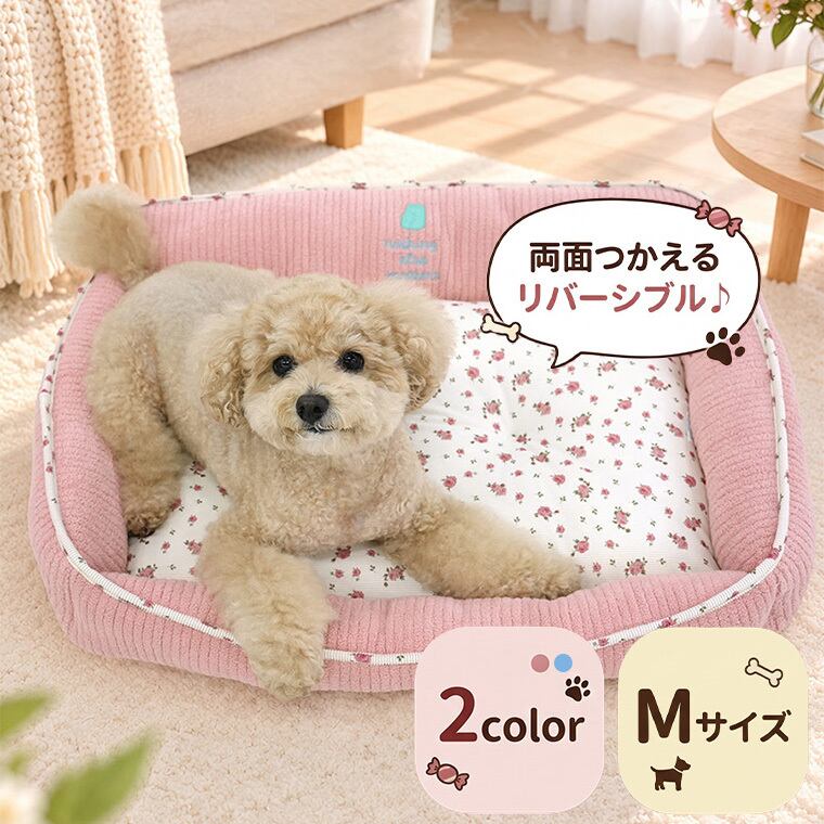 【予約販売10%OFF】jelly bear reversible bed Msize 2color / 犬用 ベッド リバーシブル 両面 ふんわり 冬 可愛い クッション ペットマット 猫用 韓国 ペット用品 小型犬 中型犬 ハウス 高級 犬 ペットベッド