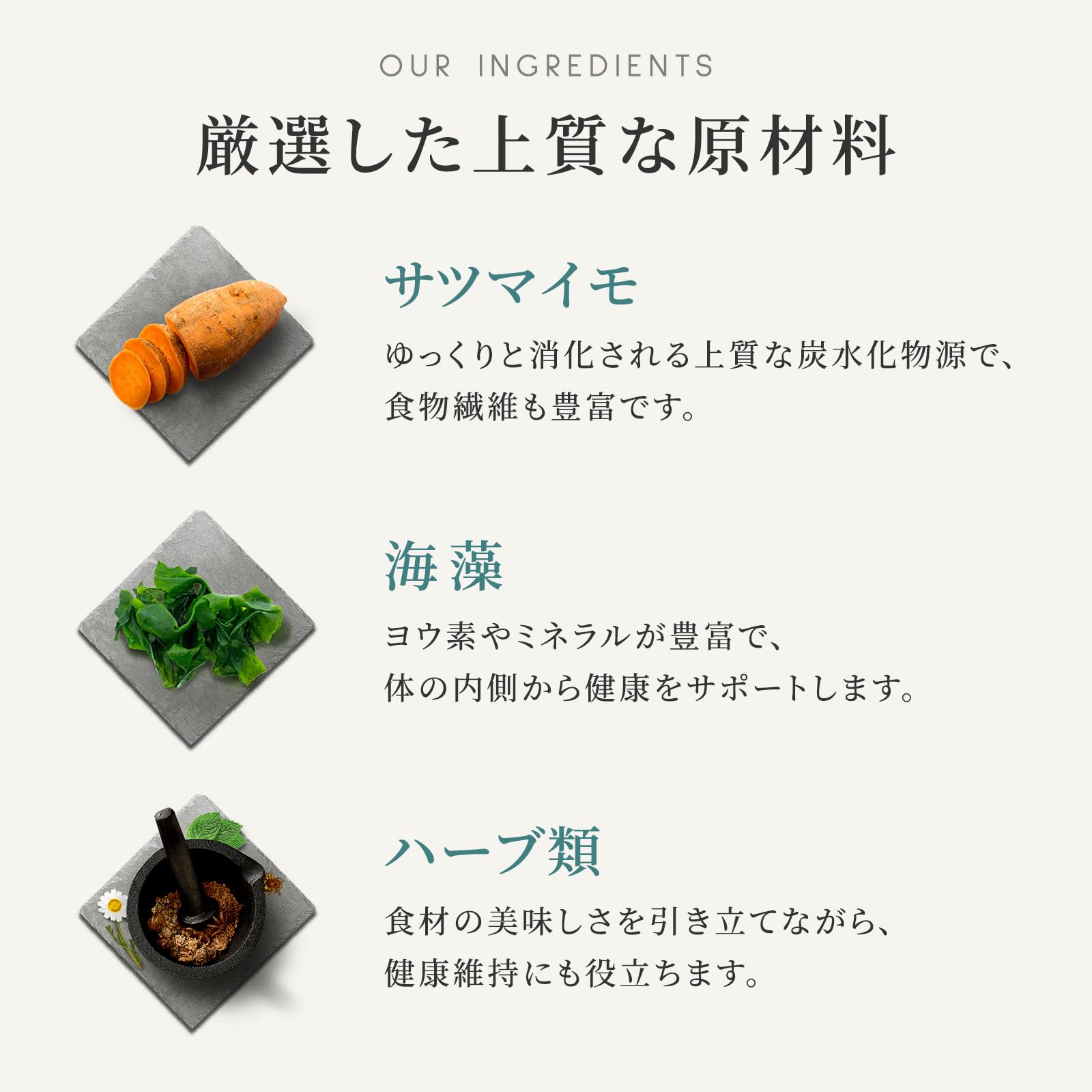 カナガン ドッグフード ビーフシチュー 缶詰(400g×1缶) ウェットフード