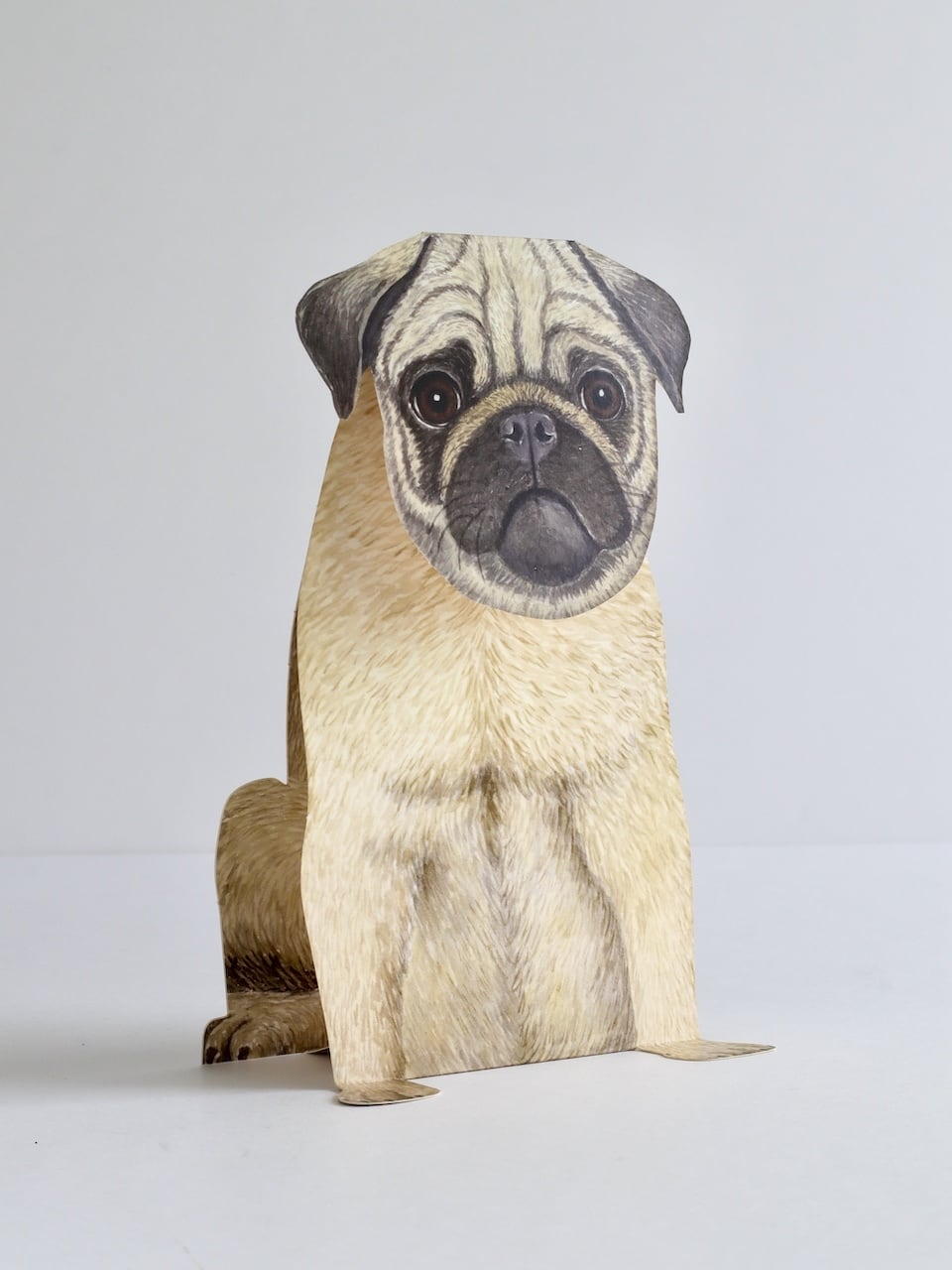 SALE】3D 立体グリーティングカード 「パグ」 / 3D Animal Folding