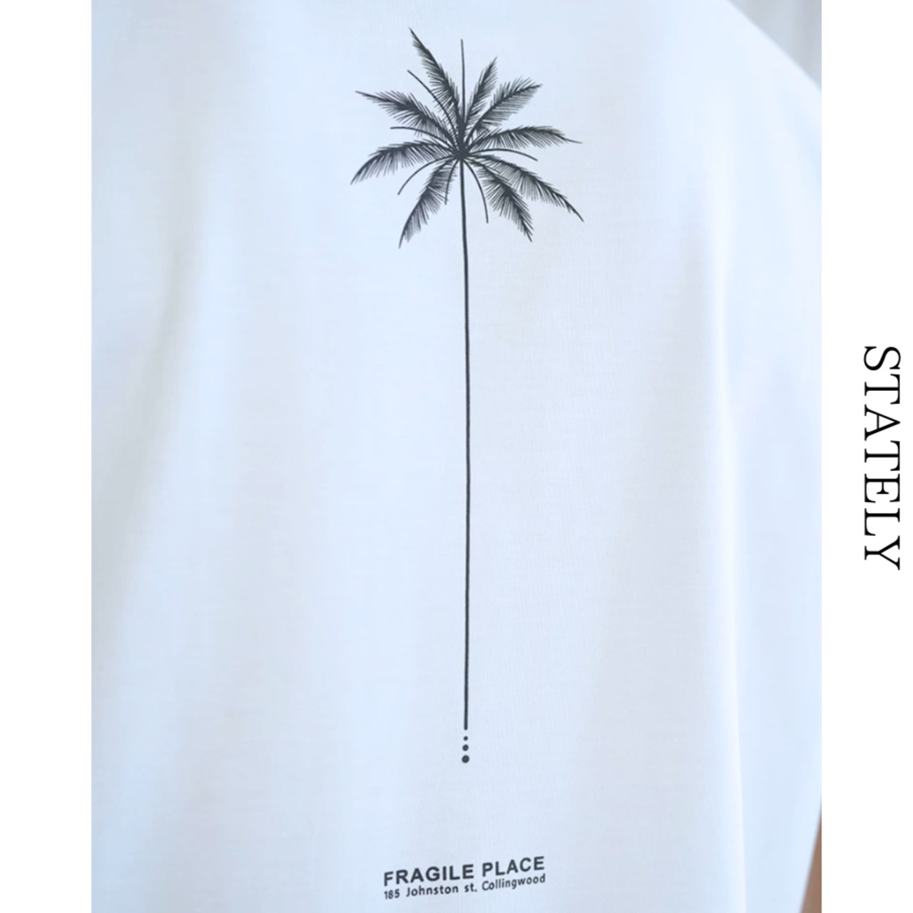 Palm Shadow  ヤシグラフィックTee/4color_T126・画像11