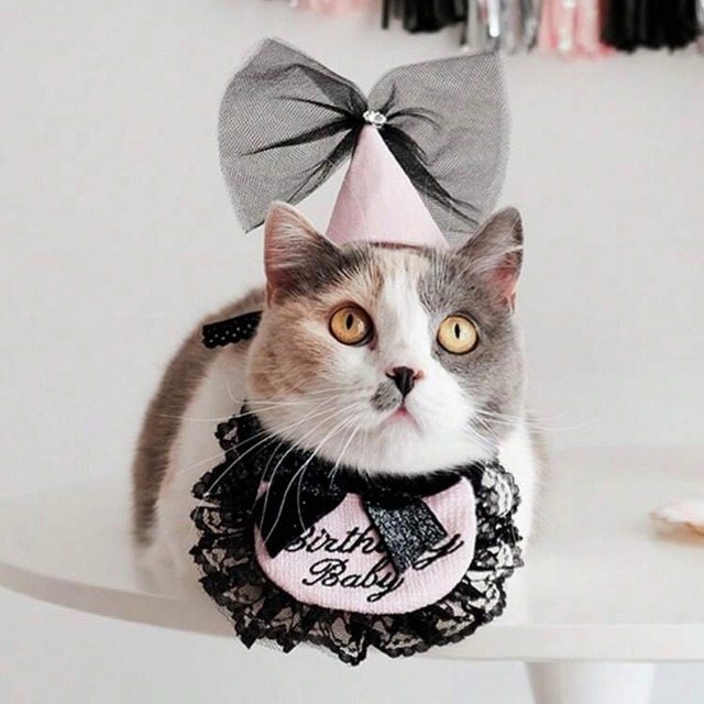 Baby Birthday エプロン　BLACK&PINK 猫　誕生日　すたい　バースデイ　グッズ