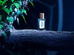 モリノコモリウタ（おやすみアロマ・単品）①シューベルトのこもりうた