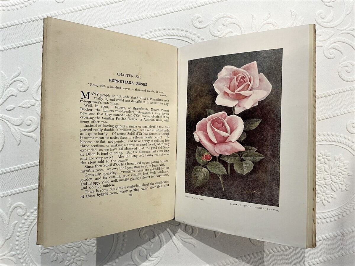 【CV456】ROSE GARDENING: How to Manage Roses and Enjoy Them / display book