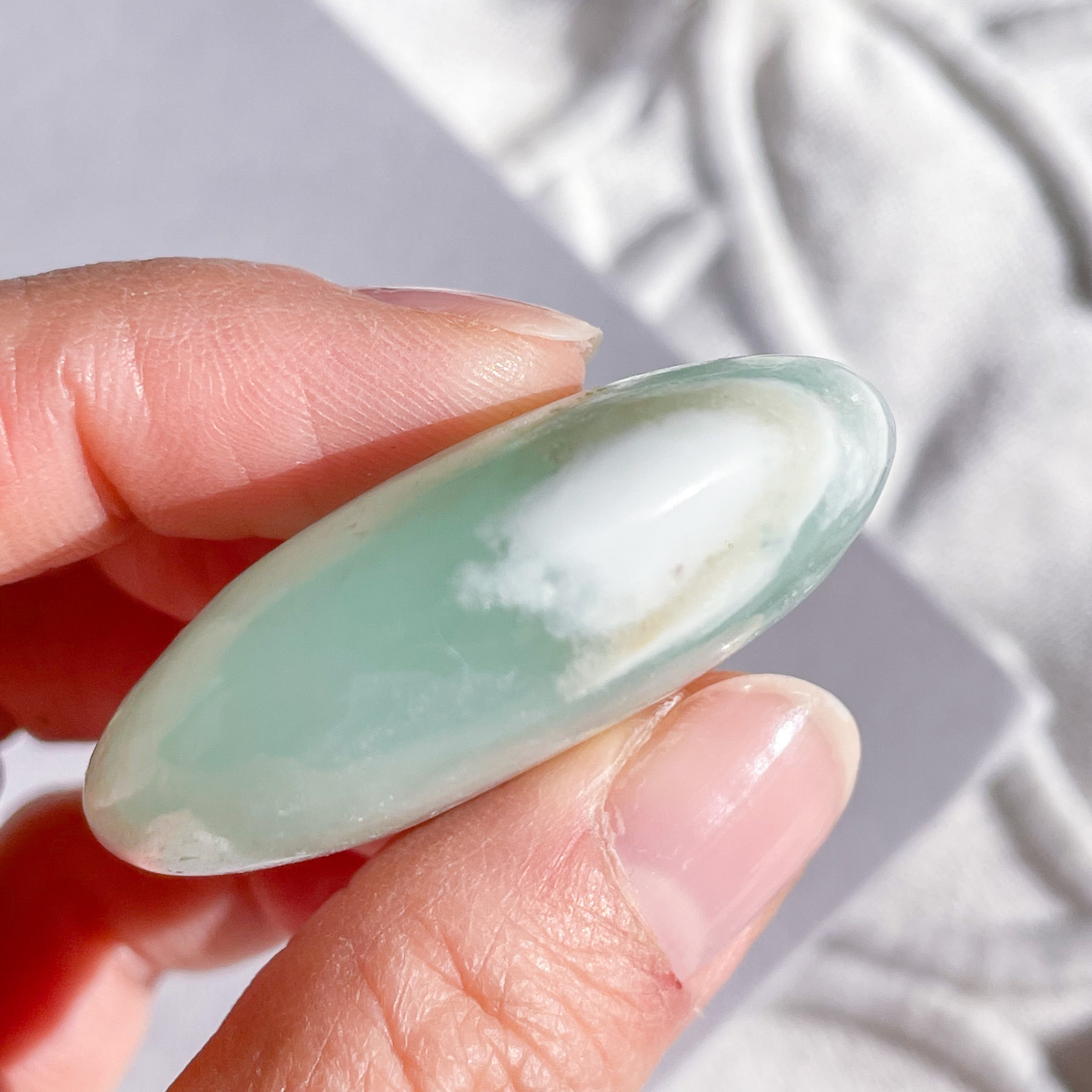 Caribbean Blue Calcite Palm 10 ✧ カリビアンブルーカルサイト