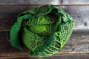 【シェフ御用達の高級野菜】サボイキャベツ-Savoy cabbage-