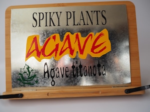【アガベ　ブリキサインプレート　Ⅰ】看板　ハンドメイド　植物サインプレート