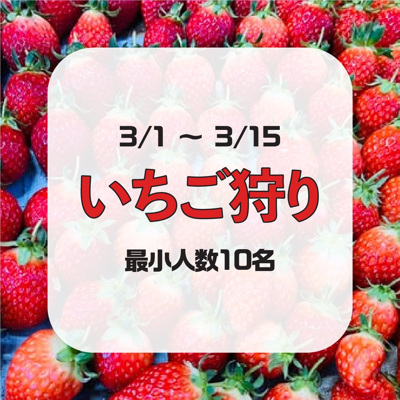 3/16～3/31】いちご狩り11時-15時（1回30分・10名以上より受付