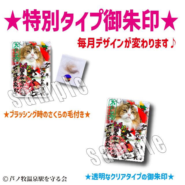 2025年12月(限定デザイン)特別タイプ御朱印 | Station Master Cat