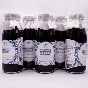 【５本セット】ハスカップ・ストレートジュース