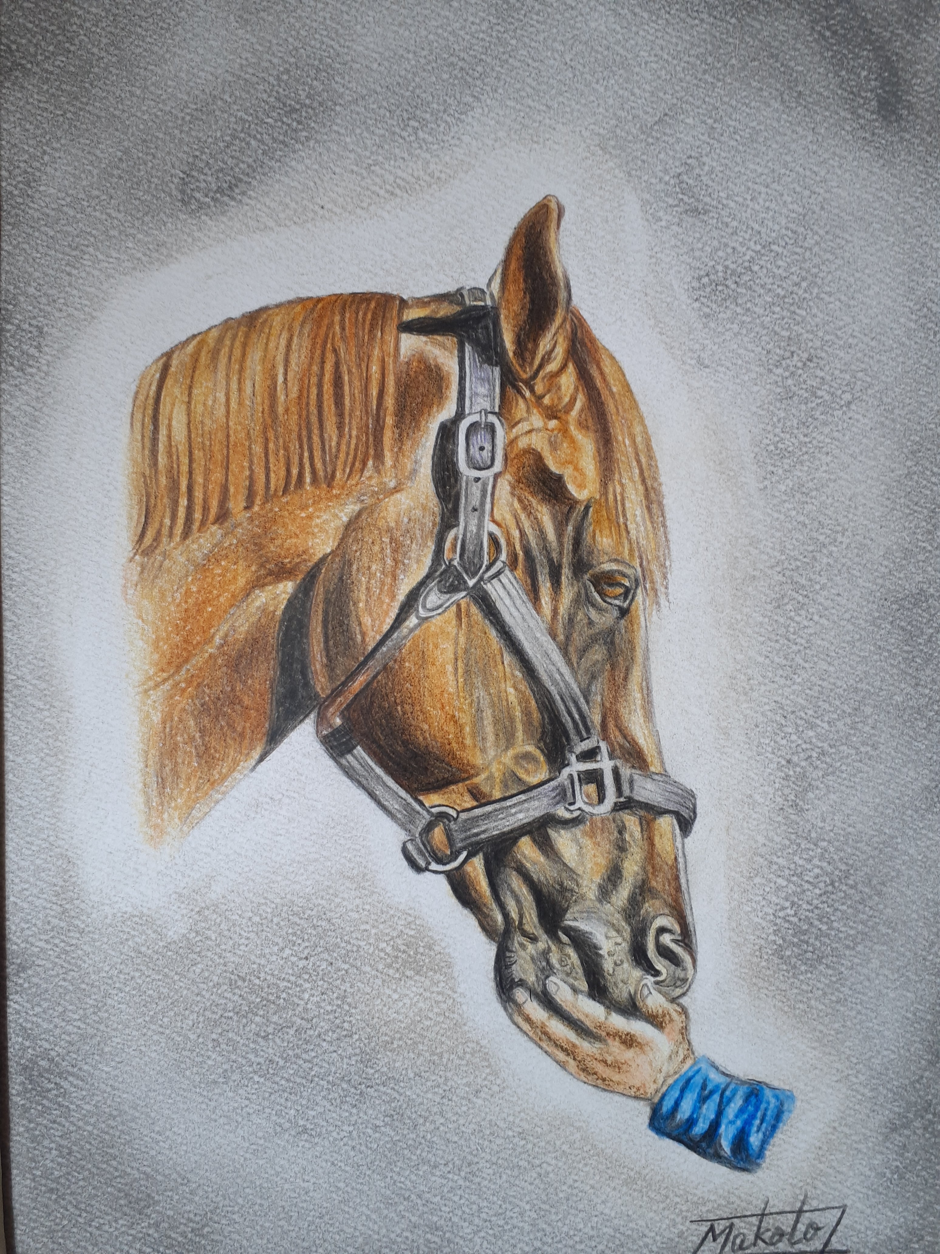色鉛筆画 愛馬 | 工房 和み