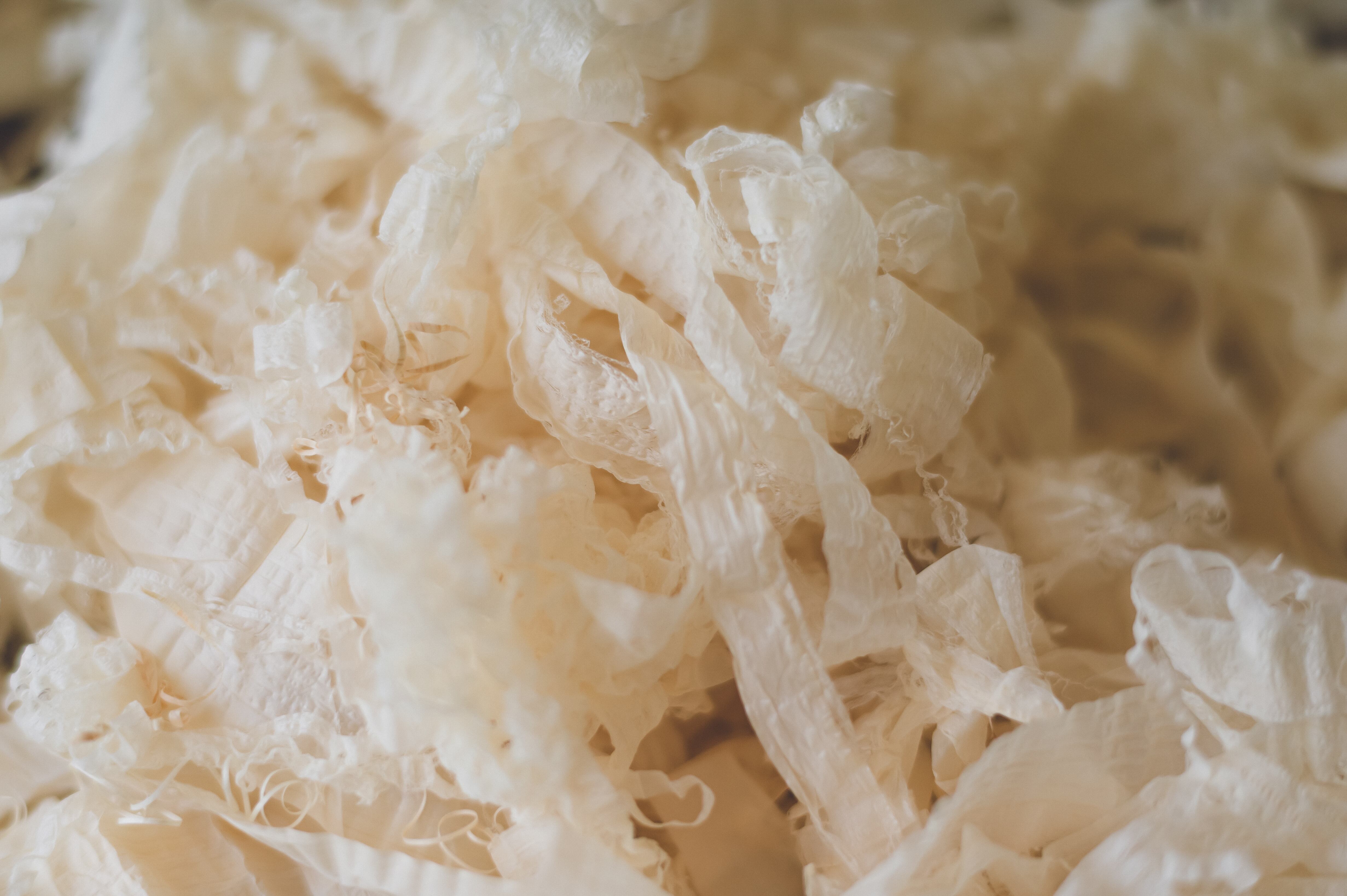 新品未使用☆春色のリース、A デザインフィル 付せん紙 型抜き リース柄 白 20枚入 19104006 1