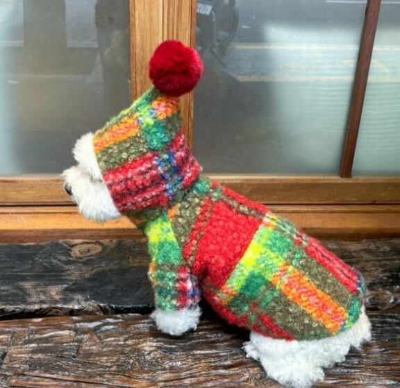 《予約》№1103069 カラフルダッフルコード