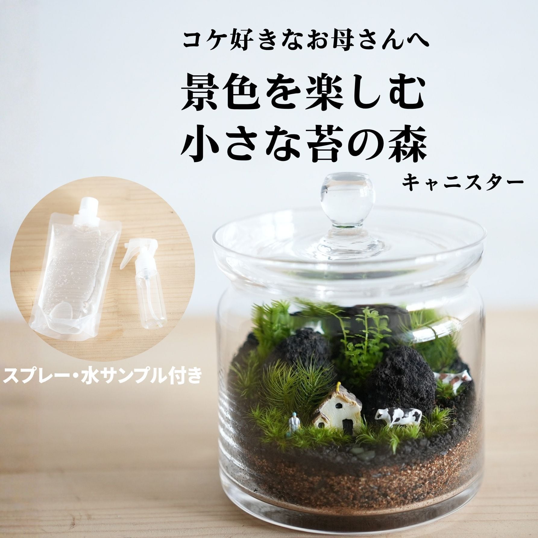 【2026母の日限定】苔の森の贈りもの◆キャニスター◆フィギュア入り