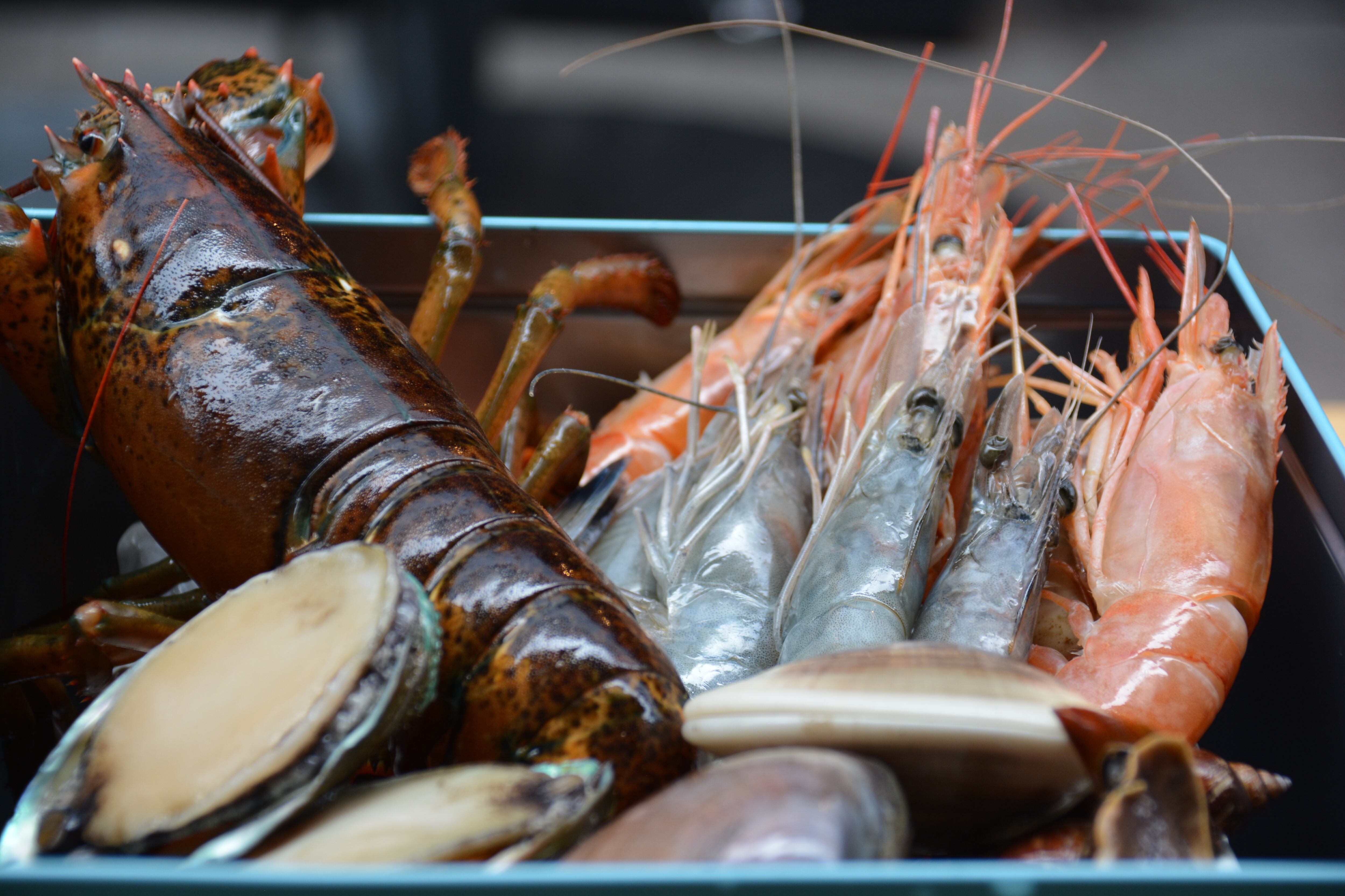 400gオマール海老入り!】豪華海鮮カンカン焼きセット（3人前） | 活