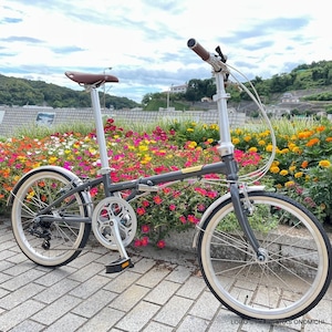 DAHON  boardwalk D7　