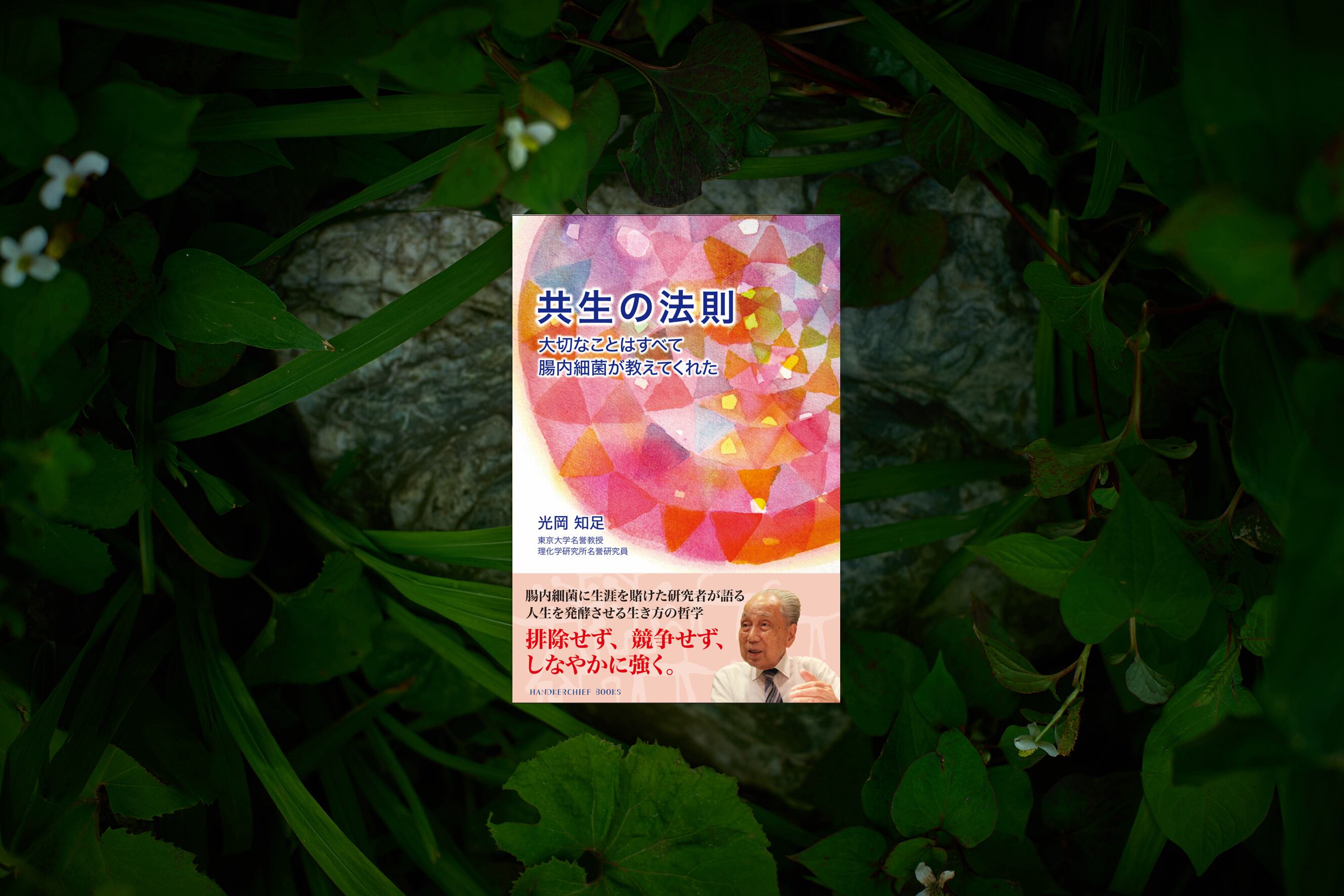 秘伝 道家気功 気功法 劉百齢 林義貢 塩田恵一 気功 医療 東洋思想 本 道家氣功 古代から伝わる21世紀最高の氣功実践書 (ハンカチーフ